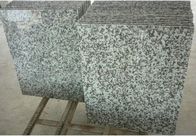 Piastrelle per pavimento di superficie della pietra del granito del solido, lastre naturali grige della pietra del granito