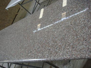 Materia prima del granito di Brown del granito naturale ad alta resistenza solido di piani di lavoro
