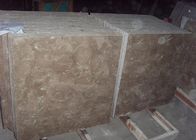 Le mattonelle di marmo naturali grigio chiaro 300 * 300 * 18mm/hanno personalizzato la dimensione
