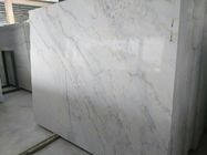 Pannelli di parete di marmo ad alta densità per le docce/stanza, pavimentazione di marmo bianca della lastra