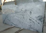 Il Grey venato densità del granito delle mattonelle 2,95 di pietra naturali della parete delle lastre l'alta