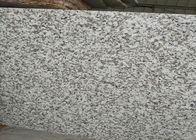 mattonelle del bagno del granito di resistenza alla compressione 66.5Mpa, piastrelle per pavimento grige del granito