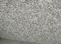 mattonelle del bagno del granito di resistenza alla compressione 66.5Mpa, piastrelle per pavimento grige del granito
