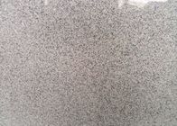 Mattonelle dell'interno/all'aperto del granito, piastrella per pavimento smerigliatrice dura grigio chiaro del granito