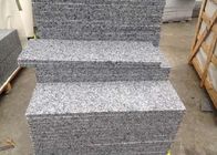 La scala fa un passo/la resistenza alla flessione del MPa delle mattonelle 26,6 della pietra granito del controsoffitto