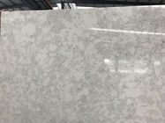 Il marmo gradisce la vena che costruisce il controsoffitto di Bianco Carrara, piano di lavoro bianco duro del quarzo