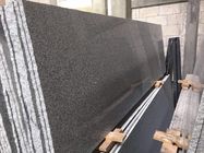 Lastre di pietra naturali materiali del granito G654/piastrelle per pavimento di pietra naturali