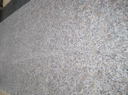 Colore grigio della perla del fiore Bianco Antico della lastra materiale del granito del granito G383