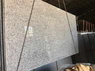 Le lastre grige del granito dei nuovi controsoffitti del granito G439/hanno lucidato la dimensione di abitudine delle lastre