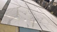 Piastrelle per pavimento di marmo lucidate composite del favo/mattonelle di marmo bianche della doccia