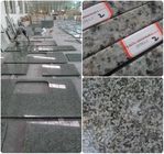 Buona resistenza della corrosione del granito durezza solida prefabbricata di piani di lavoro di alta