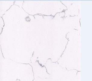 Controsoffitto bianco delle mattonelle del quarzo, piani di lavoro del composto del quarzo di densità Cm3/2.5g - di 2,3