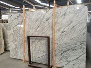 Mattonelle naturali del marmo di Statuario, piastrella per pavimento di marmo bianca su misura di dimensione