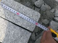 Mattonelle su ordinazione professionali della pietra del granito per la pavimentazione della pavimentazione, pietra tombale