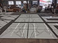 Pannelli compositi del favo di marmo di alluminio con alta rigidità